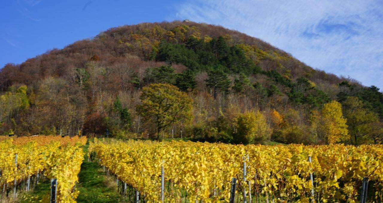 Beurener Hof 보이렌 외부 사진